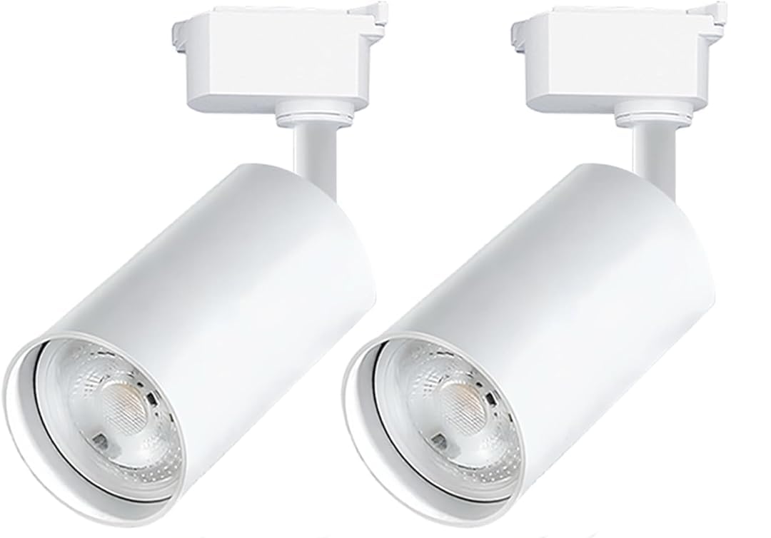 LED Track Lighting Heads, 2-Lights 10W Dimmable Track Lights Head with Single-Circuit H Type Track Light Rails 3000K Warm White Ceiling Spotlight Fixture for Indoor Home Commercial